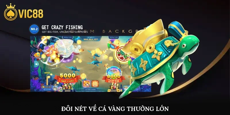 Đôi nét về cá vàng thưởng lớn