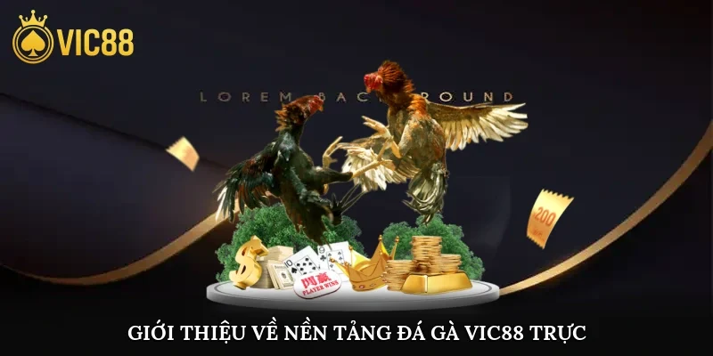 Giới thiệu về nền tảng đá gà vic88 trực