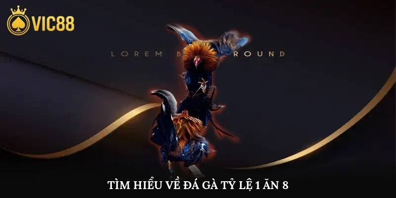Tìm hiểu về đá gà tỷ lệ 1 ăn 8